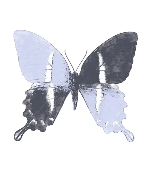Illustration eines farbigen Schmetterlings, gemischtes Medium, abstrakte Farbcollage. — Stockfoto