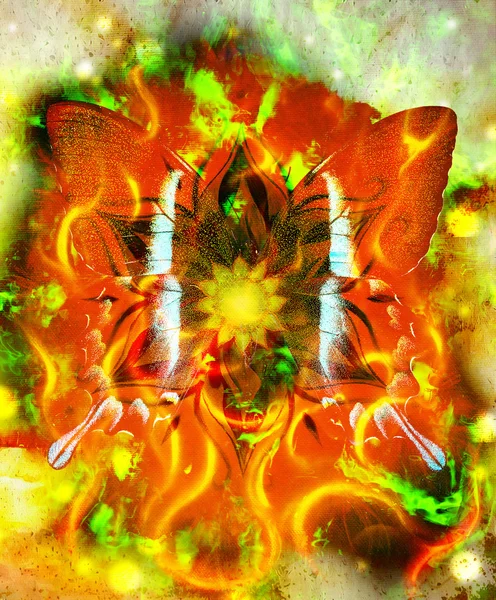 Butterfly and ornamental mandala and fire effect. color abstract background with spots — Φωτογραφία Αρχείου