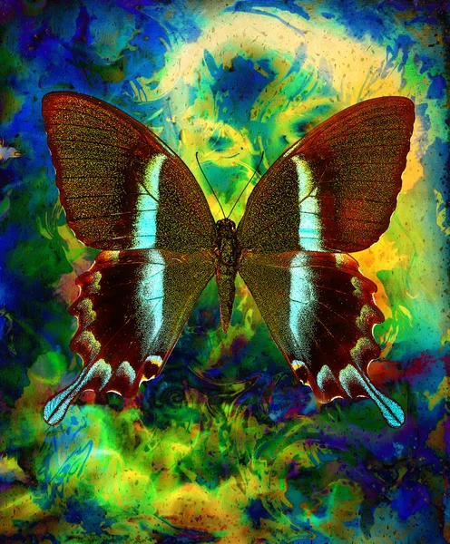 Illustration eines Schmetterlings, gemischtes Medium, abstrakter Farbhintergrund, grün, gelb, schwarze Farbe. — Stockfoto