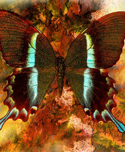 Illust de una mariposa, medio mezclado, fondo abstracto del color, color negro y marrón . — Foto de Stock