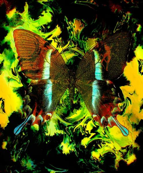 Illust de una mariposa, medio mezclado, fondo abstracto del color, verde, amarillo, color negro . — Foto de Stock