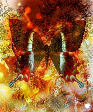Butterfly and oriental ornamental mandala and color abstract background with spots, orange, yellow and black color