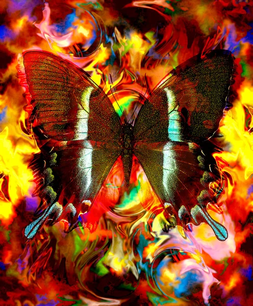 Illust de una mariposa, medio mezclado, fondo abstracto del color, rojo, naranja, color amarillo — Foto de Stock