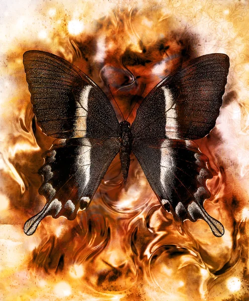 Illustrazione di una farfalla, mezzo misto, sfondo di colore astratto — Foto Stock