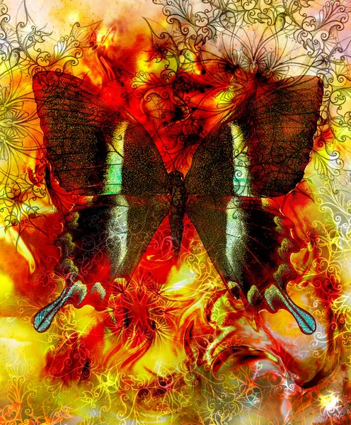 Mariposa y mandala ornamental oriental y fondo abstracto de color con manchas, rojo, naranja, color amarillo . — Foto de Stock