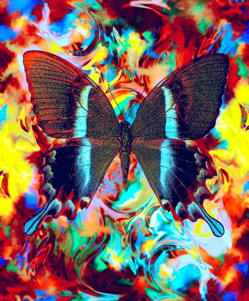 Illustration eines Schmetterlings, gemischtes Medium, abstrakter Farbhintergrund, blaue, schwarze, gelbe, grüne und violette Farbe. — Stockfoto