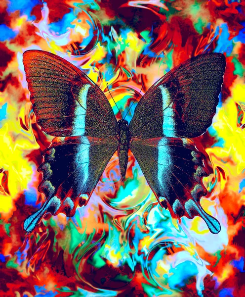 Illustration of a butterfly, mixed medium, abstract color background, blue, black, yellow, green and violet color. — 图库照片