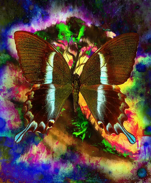 Painting butterfly and tree, wallpaper landscape, color collage. and abstract grunge background with spots, blue, black, yellow, green and violet color — Stock Fotó