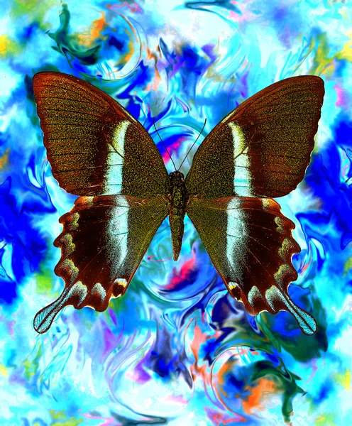 Illustration of a butterfly, mixed medium, abstract color background, blue, black and white color — Stockfoto