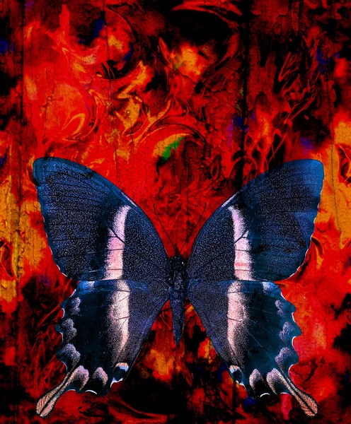 Illustration eines Schmetterlings, gemischtes Medium, abstrakter Farbhintergrund und Farbe Feuereffekt, rot, orange, schwarze Farbe — Stockfoto