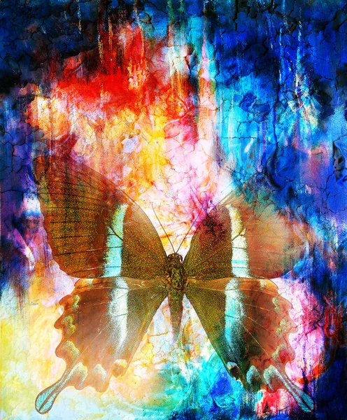 Illustration of a butterfly, mixed medium, abstract color background — Stock Photo, Image