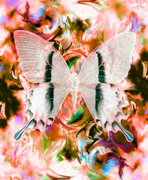 Ilustración de una mariposa, medio mixto, fondo abstracto del color y efecto del crepitar del desierto del color . — Foto de Stock