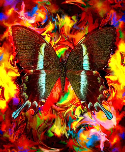 Illust de una mariposa, medio mezclado, fondo abstracto del color, rojo, naranja, color amarillo . — Foto de Stock