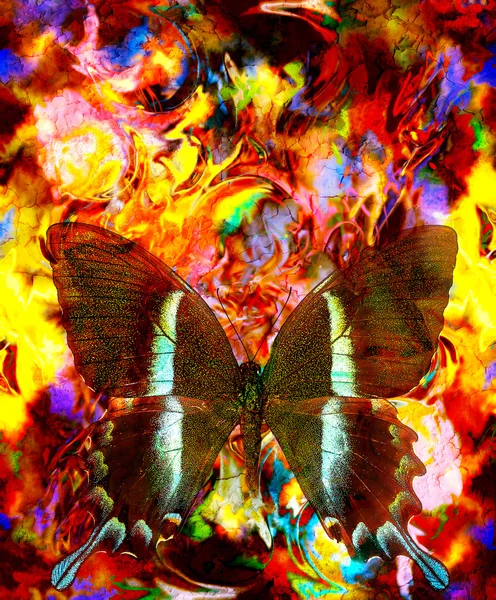 Illust de uma borboleta, meio misto, fundo de cor abstrato e efeito de fogo de cor., vermelho, cor de laranja, cor amarela — Fotografia de Stock