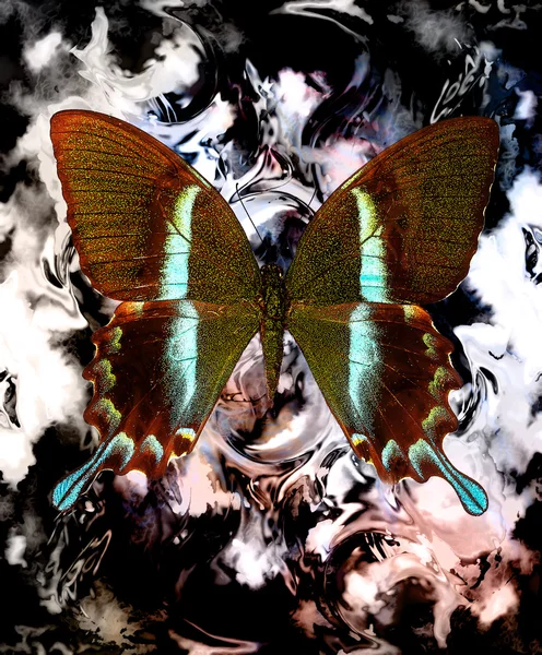 Illustration d'un papillon, médium mixte, fond de couleur abstrait — Photo