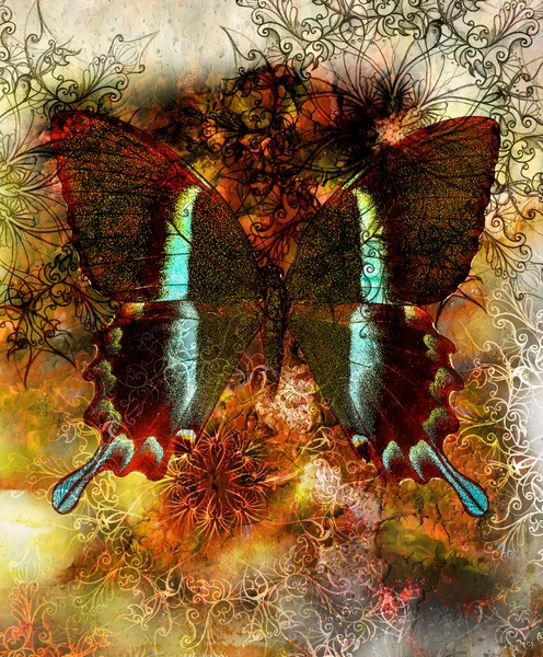 Mariposa y mandala ornamental oriental y fondo abstracto de color con manchas, color negro y marrón —  Fotos de Stock