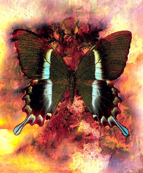 Illustration of a butterfly, mixed medium, abstract color background — Stock Photo, Image