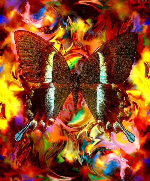 Illust de una mariposa, medio mezclado, fondo abstracto del color, rojo, naranja, color amarillo . — Foto de Stock