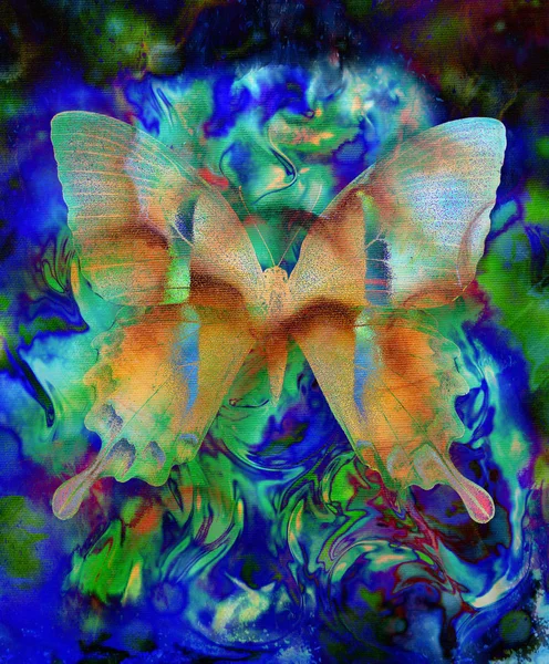 Illustration of a butterfly, mixed medium, abstract color background — Stock Photo, Image