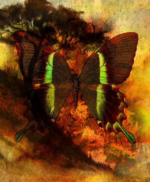 Painting butterfly and tree, wallpaper landscape, color collage. and abstract grunge background with spots, computer collage, black and brown color. — Zdjęcie stockowe