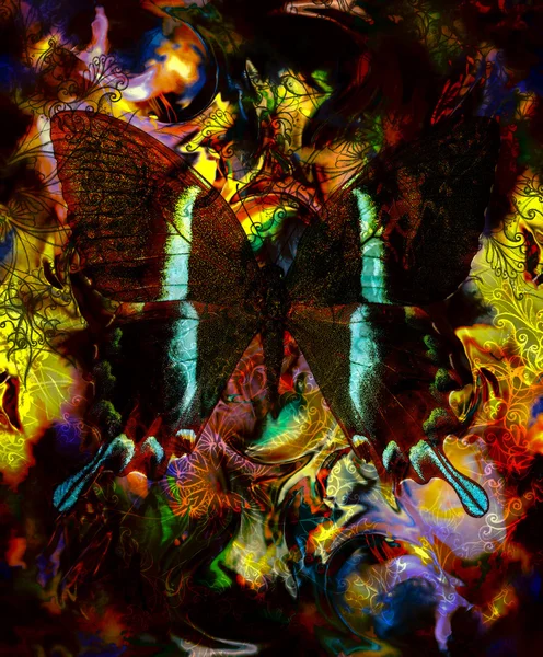 Mariposa y mandala ornamental oriental y fondo abstracto de color con manchas. collage informático . —  Fotos de Stock