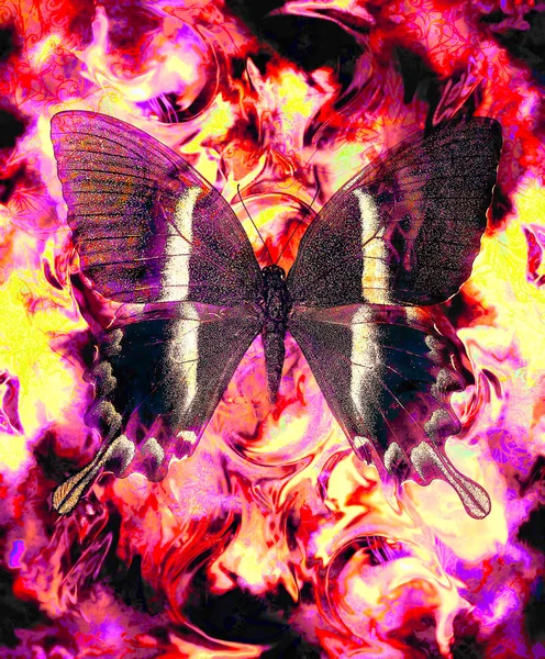 Butterfly and color abstract background with spots. computer collage. — 스톡 사진