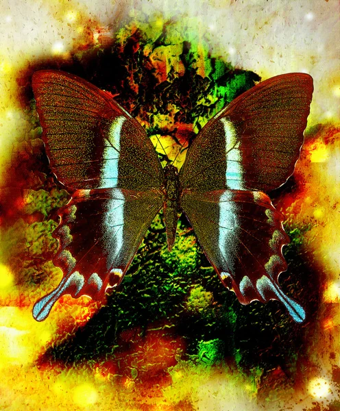 Illustration of a butterfly, mixed medium, abstract color background, green, yellow, black color. — Φωτογραφία Αρχείου