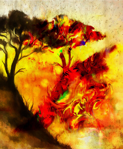 Painting sunset, and tree, wallpaper landscape, color collage. and abstract grunge background with spots. Red, orange, yellow color