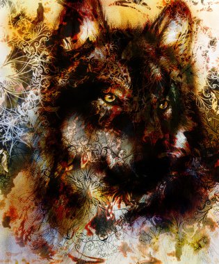 Wolf painting, color  background on paper , multicolor illustration. Brown, orange, black and white color.