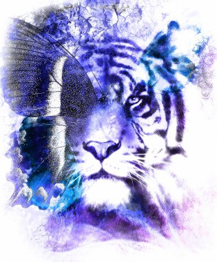 portrait tiger with eagle and butterfly wings.. Color Abstract background and ornament, vintage structure. Animal concept. Blue, black and white color.