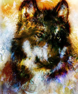 Wolf painting, color  background on paper , multicolor illustration. Brown, orange, black and white color.