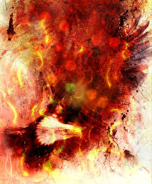 Hermosa pintura de águila sobre un fondo abstracto, color con estructuras de fuego y spot y mandala ornamental — Foto de Stock