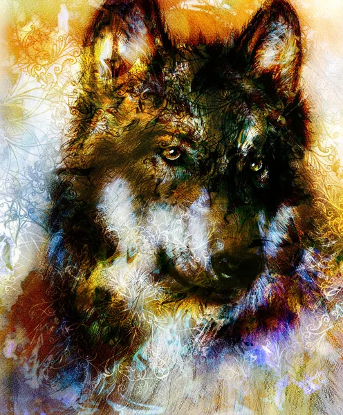 Wolf painting, color  background on paper , multicolor illustration. Brown, orange, black and white color. — ストック写真