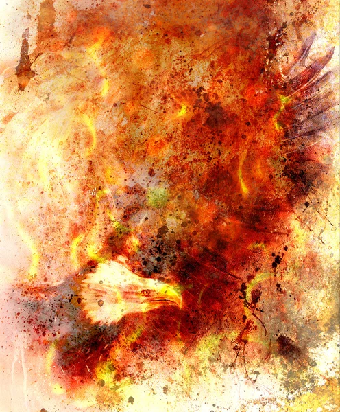 Hermosa pintura de águila sobre un fondo abstracto, color con estructuras de fuego y manchas — Foto de Stock