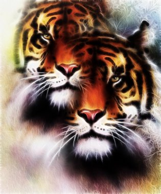 tiger collage on color abstract  background and mandala with ornamet , wildlife animals. Brown, orange, black and white color.