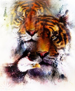 tiger with eagle and ornamental mandala. wildlife animals on painting background, Eye contact. Brown, orange, black and white color.