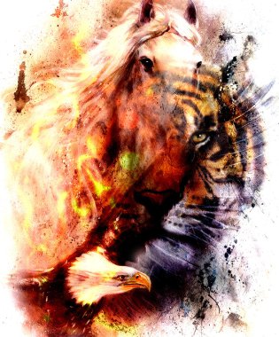 portrait tiger with eagle.  Color Abstract background and ornament, vintage and paper structure. Animal concept, eye contact.