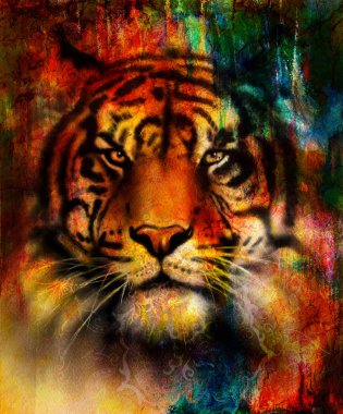 beautiful painting of eagle and butterfly  on an abstract background, color with spot structures. Blue, orange, green, red, black color.