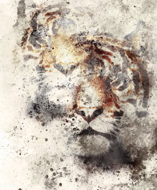 Kaplan kolaj renk arka plan ve mandala süsleme, vahşi hayvanlar ve spor boyama ile.