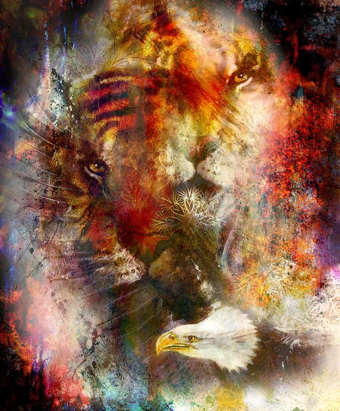 Mooi schilderij van eagle en tiger op een abstracte achtergrond van kleur met decoratieve patroon, met ter plaatse structuren — Stockfoto