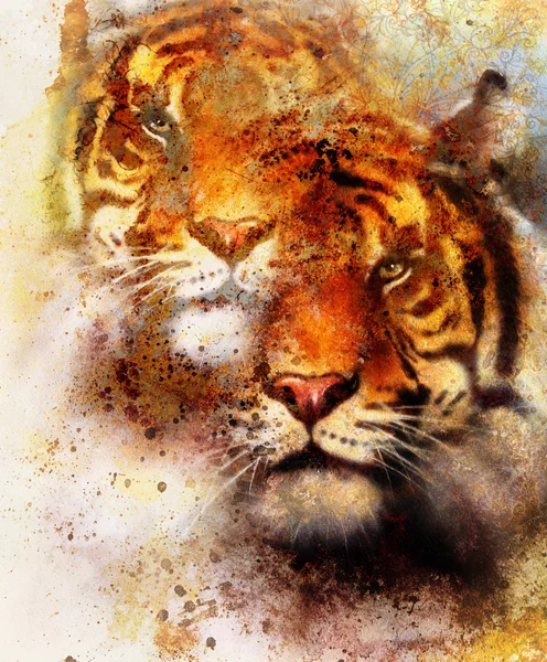 Tiger collage on color abstract background and mandala with ornament, painting wildlife animals and sports. Brown, orange, black and white color. — Stock Photo, Image