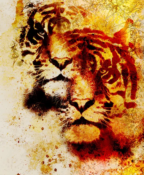 Collage de tigre sobre fondo abstracto de color y mandala con adorno, animales de vida silvestre . — Foto de Stock