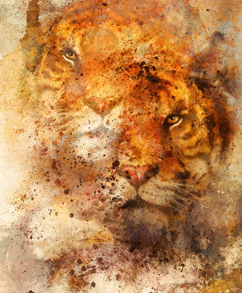 Collage de tigre sobre fondo abstracto de color y mandala con adorno, animales de vida silvestre . — Foto de Stock