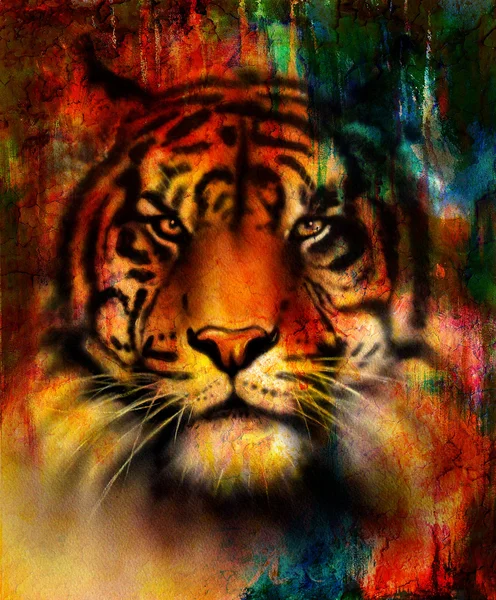 Streszczenie tło kolor i pustyni iskrzy się Tygrys. — Zdjęcie stockowe