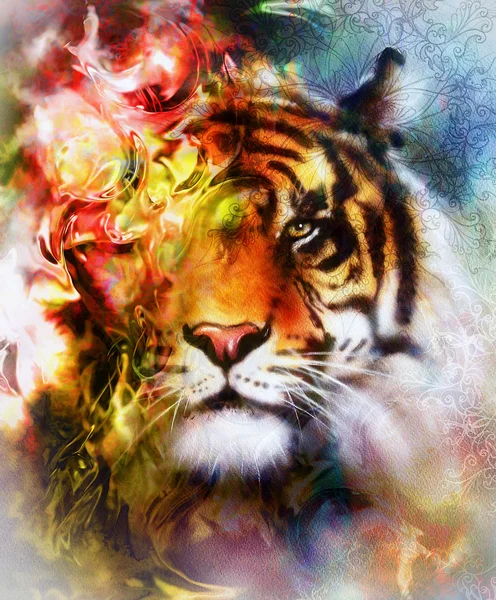 Tiger collage på färg abstrakt bakgrund och mandala med ornamet, vilda djur. — Stockfoto