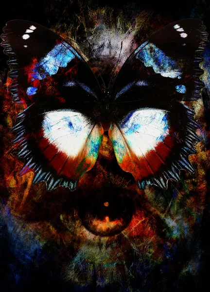 一只蝴蝶和女人的眼睛，混合介质、 抽象色彩背景的插图. — 图库照片