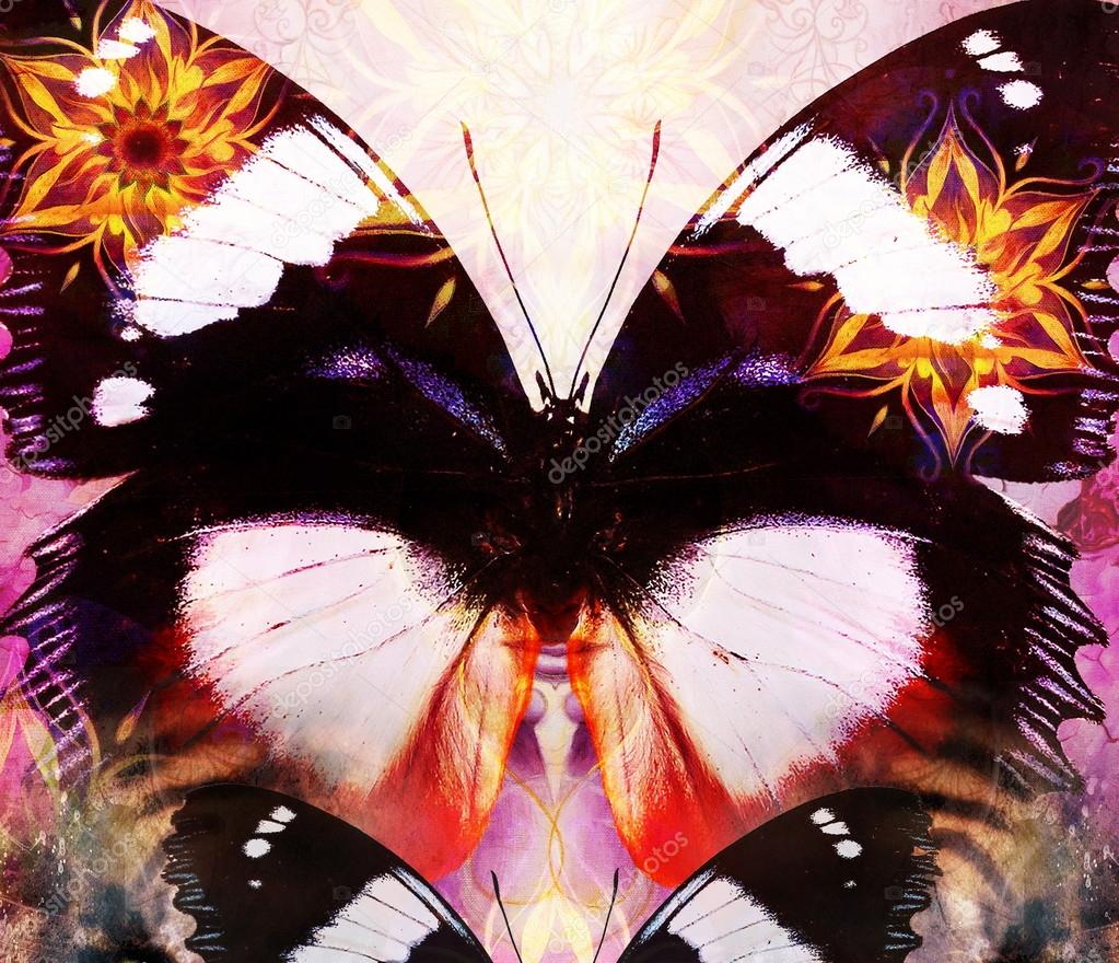 Butterfly and oriental ornamental mandala and color abstract background with spots. computer collage.