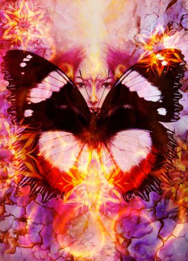 Güzel resim Tanrıça kadın süs mandala ve kelebek kanatları ve renk arka plan ve göz teması ile yüzünüzü ve çöl crackle ateşle kuş Anka kuşu ile.