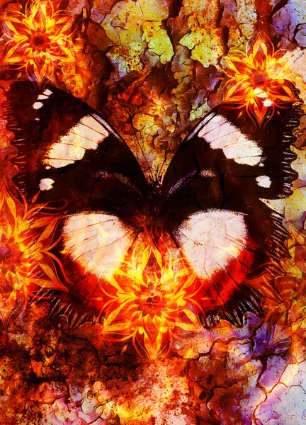 Mandala ornamental oriental y fondo abstracto de color con manchas, espacio copi y efecto mariposa, fuego y lava . — Foto de Stock