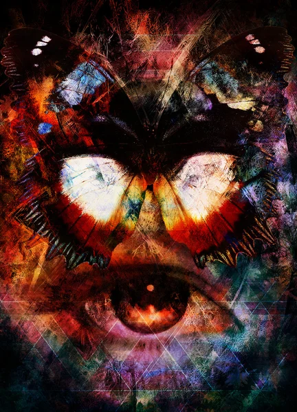 Illustration of a butterfly and woman eye, mixed medium, abstract color background, and triangle structure. — ストック写真